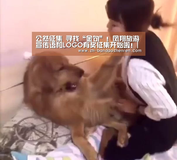 半岛真人