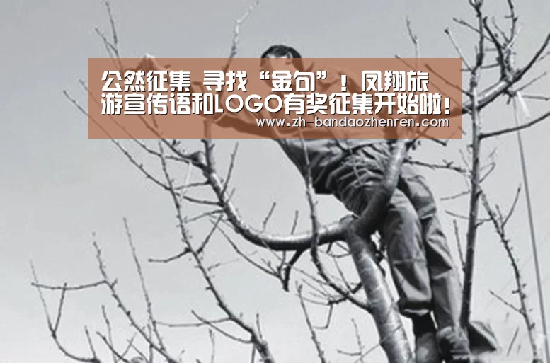 半岛真人