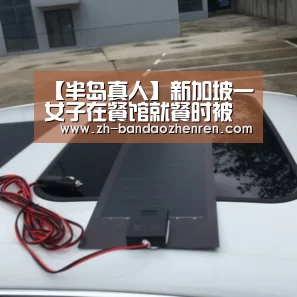 【半岛真人】新加坡一女子在餐馆就餐时被甜品喷枪烧伤(图3) 半岛真人