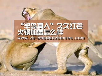 半岛真人