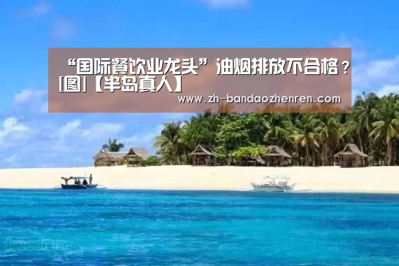 “国际餐饮业龙头”油烟排放不合格？[图]【半岛真人】